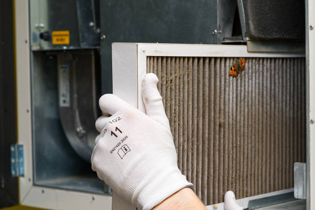Best Local Air Duct Cleaning Services  in Cape Coral, FL