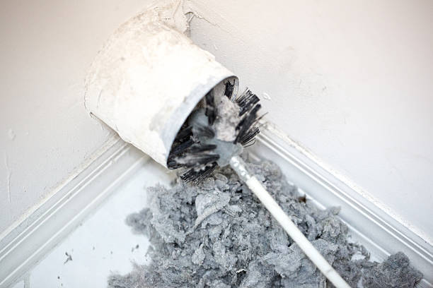 Best Best Air Duct Cleaning Near Me  in Cape Coral, FL